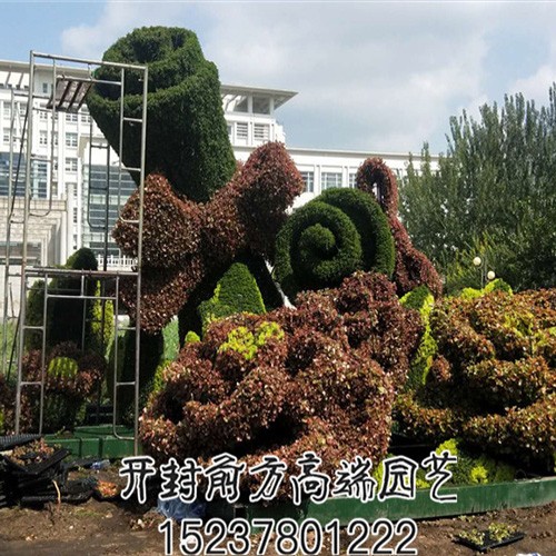 遼寧省交通高等專科學(xué)校五色草造型
