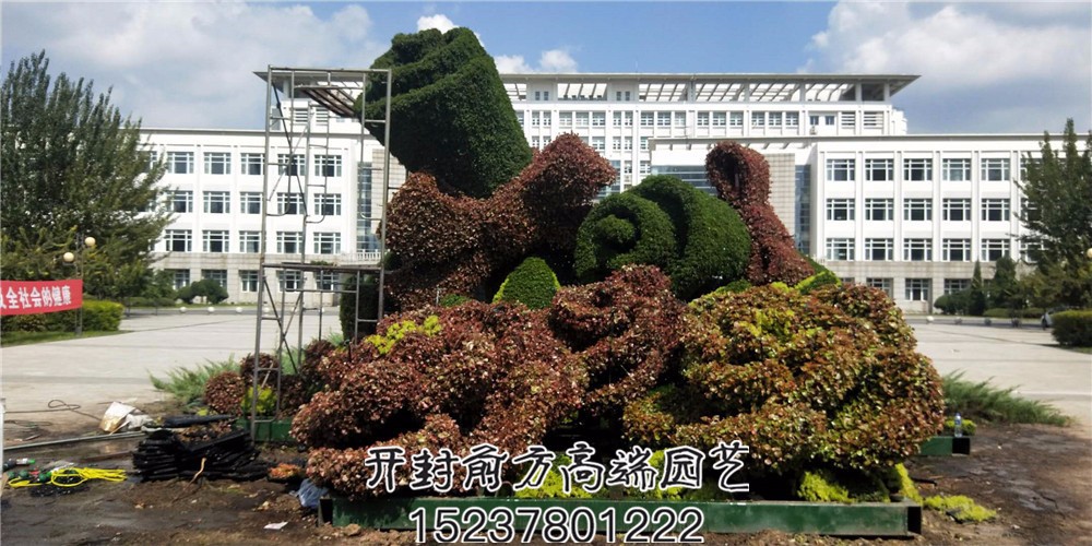 遼寧省交通高等?？茖W(xué)校五色草造型