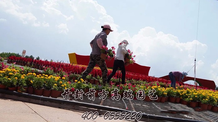 康巴什區(qū)雙駒廣場(chǎng)立體花壇-前方高端園藝