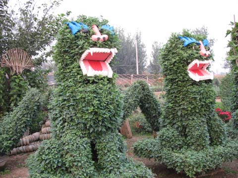 ?開封前方園藝——菊花造型現(xiàn)貨供應